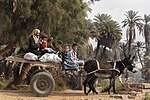 Thumbnail for File:Donkey-drawn cart in Aswan 2019 with a man and three children.jpg