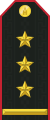 Mongolian Army-COL-service