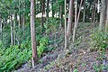 近江八幡市・東近江市・竜王町 雪野山古墳（70m）