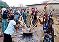 Group of women kneading amala