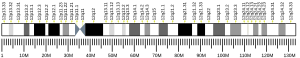 Chromosome 12 (human)