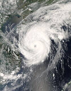 颱風浣熊