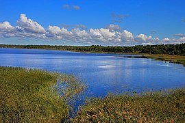 Õisu järv