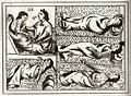 Aztec drawing of smallpox victims. This disease killed many Aztecs