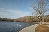 View of Belmont Lake.