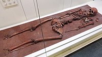 Reconstruction of burial No. 132 of the Oleneostrovsky burial ground (Yuzhni Oleny island, Lake Onega). Exhibit of the National Museum of the Republic of Karelia.[38]