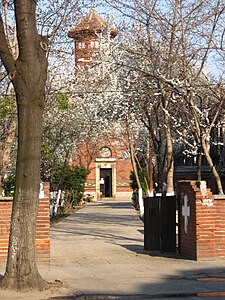 Biserica Sf. Vasile (Romanian Greek Catholic Church)