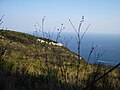 San Felice Circeo: mura ciclopiche (III maniera)