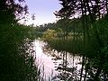 Evening on Fohnsee