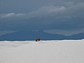 Aanpalende White Sands Missile Range.