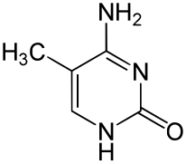 5-Méthylcytosine