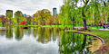 A panorama of the Boston Public Garden.