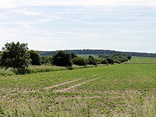 Blick auf ein Feld ein einer leicht hügeligen Landschaft. Daneben verläuft ein durch die Bäume und Büsche an den Seiten erkennbare Geländefurche bis zum Horizont.