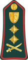 General (Gambian National Army)