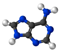 Adeninum