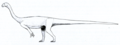 Arcusaurus