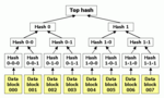 A binary hash tree