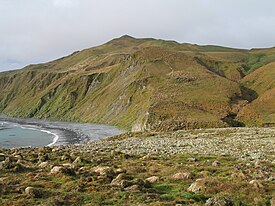 マッコーリー島