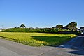 岐阜県大垣市 粉糠山古墳（100m）