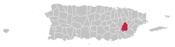 Localização de San Lorenzo em Porto Rico