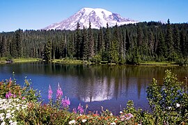 El monte Rainier reflejado en el lago Reflection.