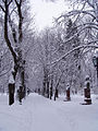 Image 6A view of Chişinău in winter, 2006