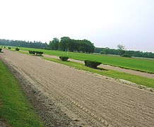 Vue des pistes d'entraînement hippique de Coye.