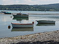 Strand ved Bodensjøen.