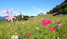 翠波高原