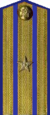 погоны ГБ 1943