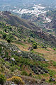 Alpujarra-Dorf Canjayar