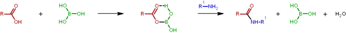 Proponowany mechanizm amidowana katalizowanego kwasem borowym