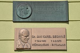 Jan Bechyně (entomolog)