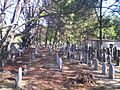  Cmentarz żydowski  Jewish Cemetery