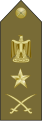 Lieutenant general -فريق (Exèrcit Egipci)