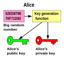 A big random number is used to make a public-key pair.