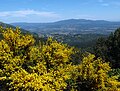 im Hintergrund die Montes de Toledo