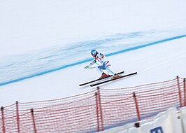 Alpineskiën op de Olympische Winterspelen 2014 - Combinatie mannen