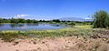 The Rio Grande, shot at a nature preserve, with the Sandia Mountains in the background