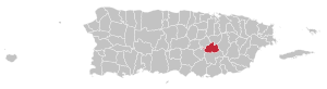 Map of Puerto Rico highlighting Cidra Municipality