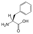 L-Fenilalanin (Phe / F)