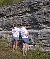 Outcrop of Upper Ordovician limestone and minor shale, Tennessee: repeating patterns in the strata are obvious