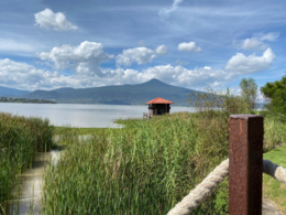 Humedales del centro de México, Lago de Pátzcuaro