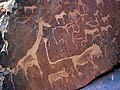 Lion Twyfelfontein (Namibia)