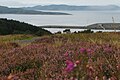 The view from Fairlie Moor road across to Arran.