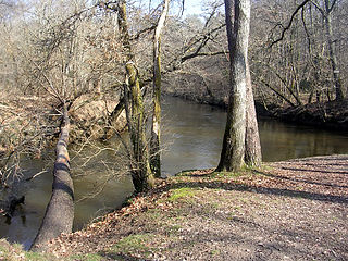 La confluence des deux Leyre (la Grande à gauche, la Petite à droite) au « Hourc d'Eyre » à Moustey