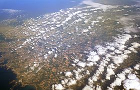 Cumulus radiatus