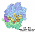 2011年3月16日 (三) 16:56版本的缩略图