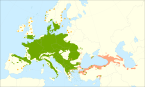 Description de l'image Fagus sylvatica range.svg.