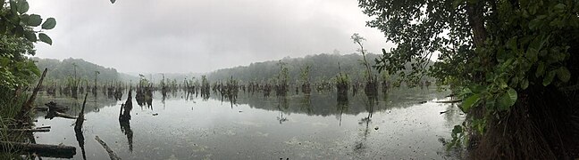 The Ghost Lake or Mamraz Lake in Mazandaran - North of Iran